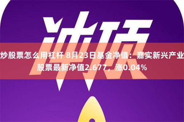 炒股票怎么用杠杆 8月23日基金净值：嘉实新兴产业股票最新净值2.677，涨0.04%