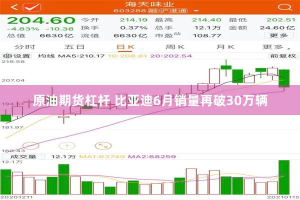 原油期货杠杆 比亚迪6月销量再破30万辆