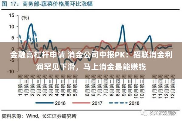 金融高杠杆申请 消金公司中报PK：招联消金利润罕见下滑，马上消金最能赚钱