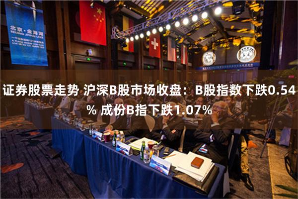 证券股票走势 沪深B股市场收盘：B股指数下跌0.54% 成份B指下跌1.07%