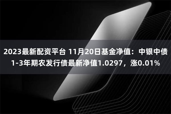 2023最新配资平台 11月20日基金净值：中银中债1-3年期农发行债最新净值1.0297，涨0.01%